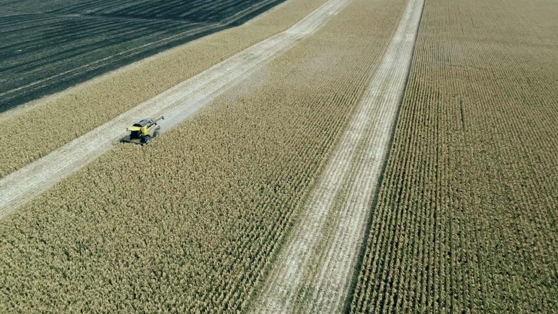 A combine cutting a swath through a standing crop, seen from above.