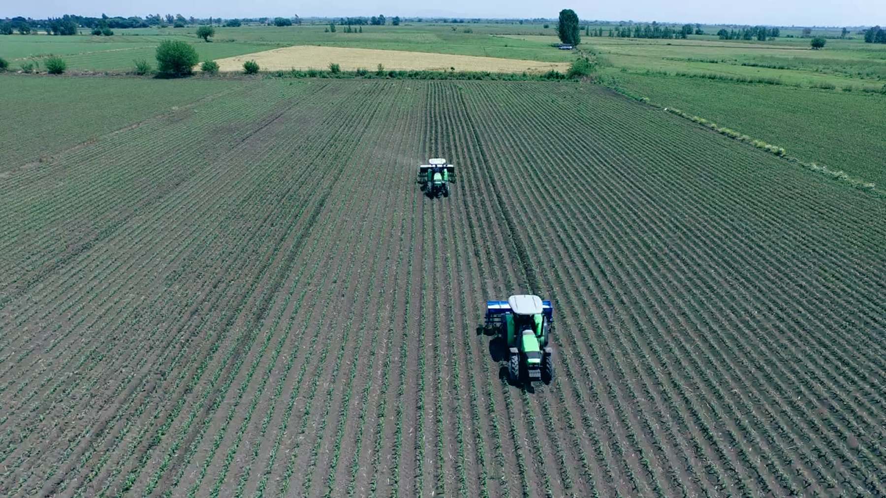 Two tractors working the same field on parallel lines, seen from above.